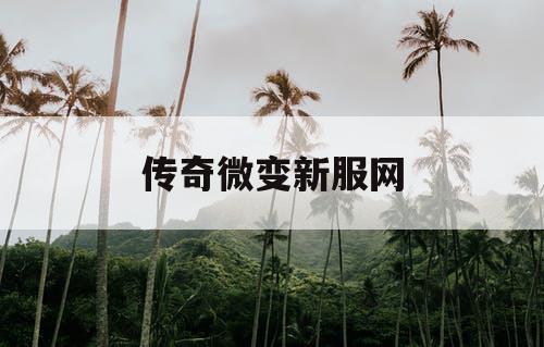 传奇微变新服网