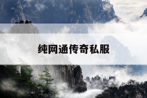 纯网通传奇私服