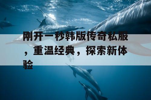 刚开一秒韩版传奇私服，重温经典，探索新体验