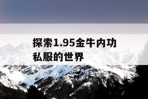 探索1.95金牛内功私服的世界