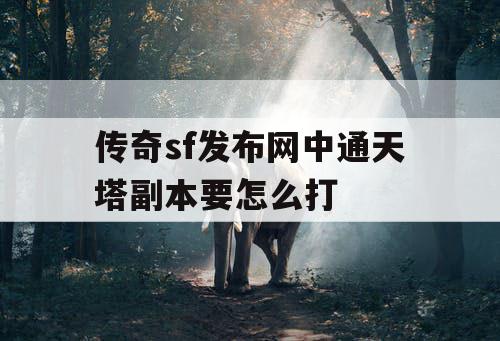传奇sf发布网中通天塔副本要怎么打