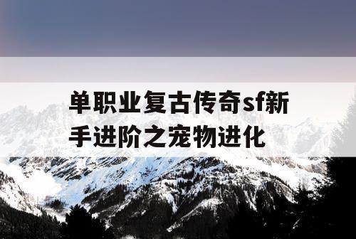 单职业复古传奇sf新手进阶之宠物进化