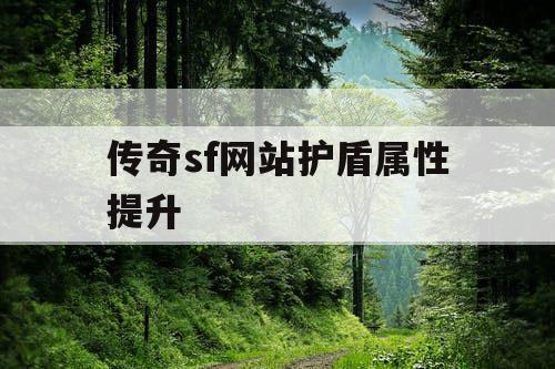 传奇sf网站护盾属性提升