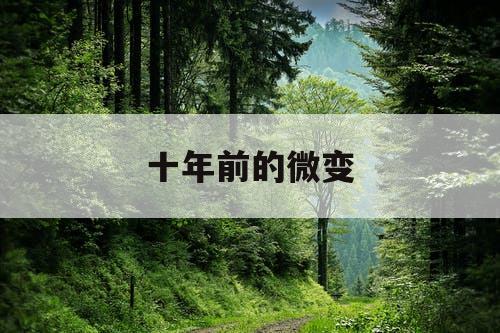 十年前的微变