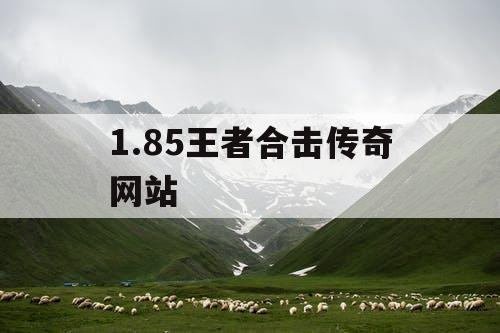 1.85王者合击传奇网站