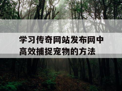 学习传奇网站发布网中高效捕捉宠物的方法