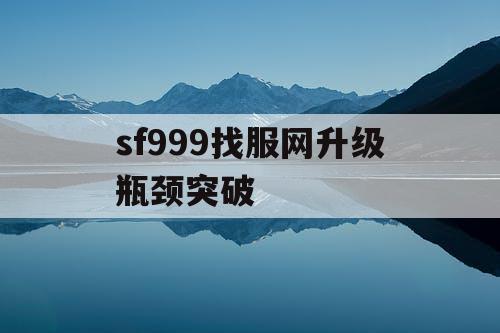 sf999找服网升级瓶颈突破