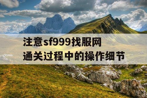 注意sf999找服网通关过程中的操作细节