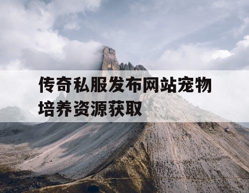 传奇私服发布网站宠物培养资源获取