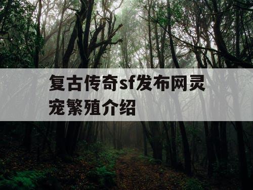 复古传奇sf发布网灵宠繁殖介绍