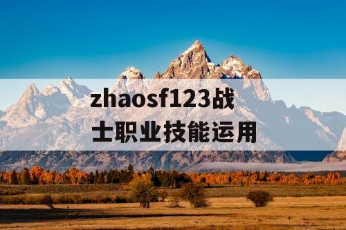 zhaosf123战士职业技能运用