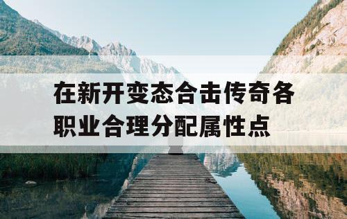 在新开变态合击传奇各职业合理分配属性点