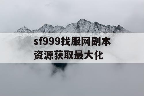 sf999找服网副本资源获取最大化