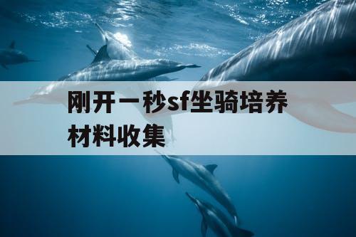 刚开一秒sf坐骑培养材料收集