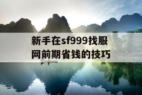 新手在sf999找服网前期省钱的技巧