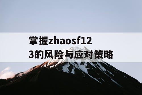 掌握zhaosf123的风险与应对策略