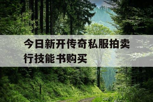 今日新开传奇私服拍卖行技能书购买
