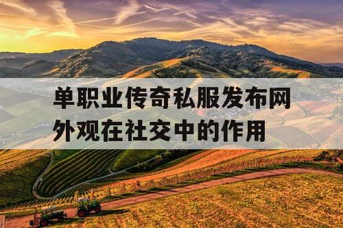 单职业传奇私服发布网外观在社交中的作用