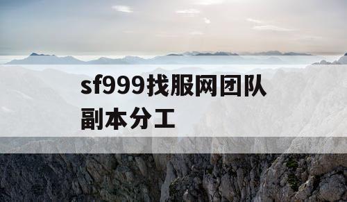 sf999找服网团队副本分工