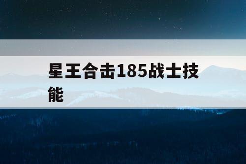 星王合击185战士技能
