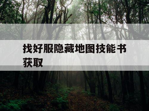 找好服隐藏地图技能书获取