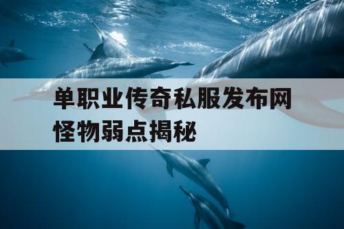 单职业传奇私服发布网怪物弱点揭秘