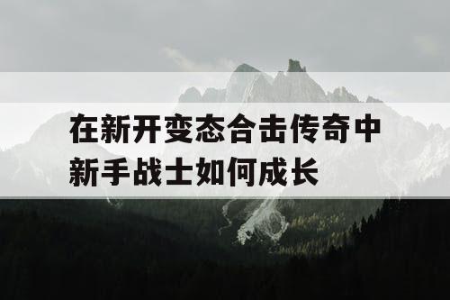 在新开变态合击传奇中新手战士如何成长