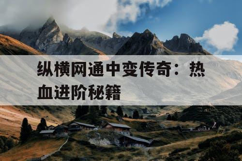 纵横网通中变传奇：热血进阶秘籍