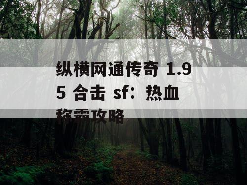 纵横网通传奇 1.95 合击 sf：热血称霸攻略