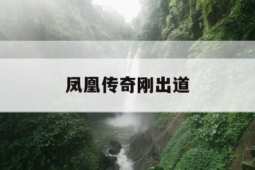 凤凰传奇刚出道