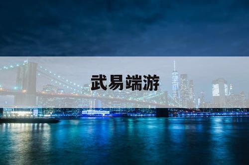 武易端游