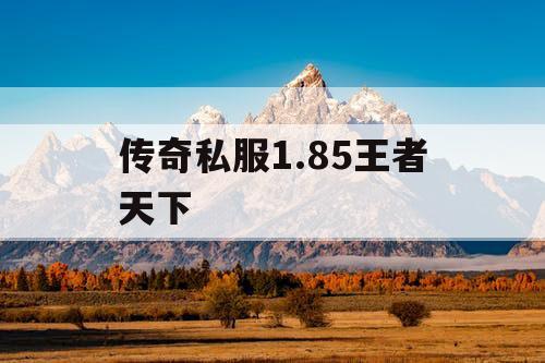 传奇私服1.85王者天下