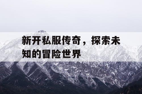新开私服传奇，探索未知的冒险世界
