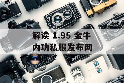 解读 1.95 金牛内功私服发布网