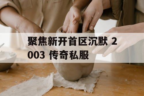 聚焦新开首区沉默 2003 传奇私服