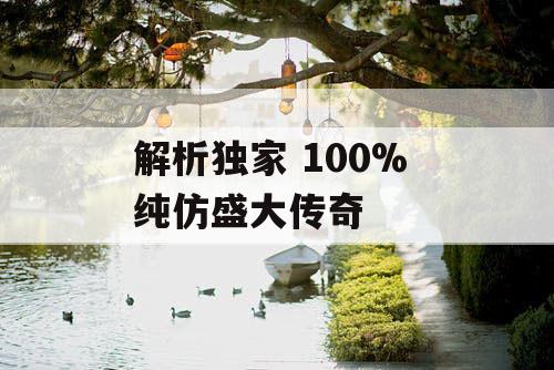 解析独家 100% 纯仿盛大传奇