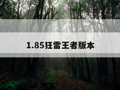 1.85狂雷王者版本