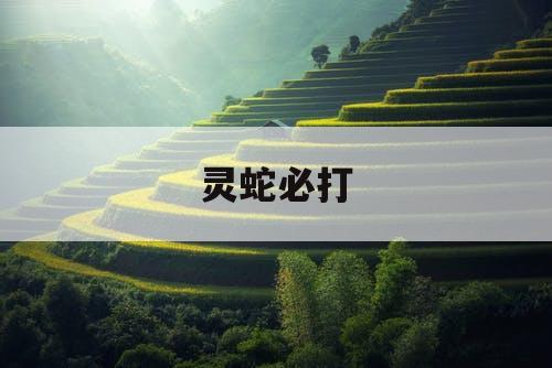 灵蛇必打