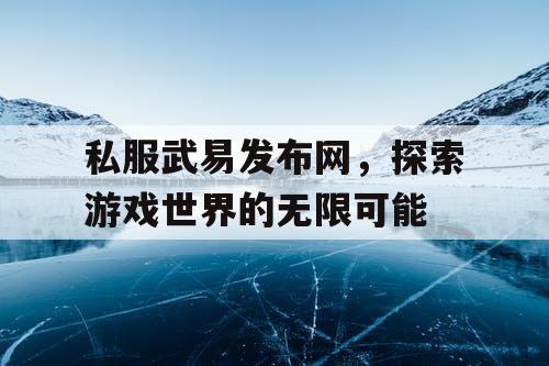私服武易发布网，探索游戏世界的无限可能