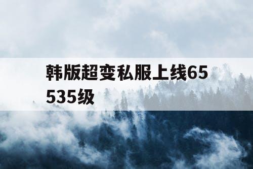 韩版超变私服上线65535级