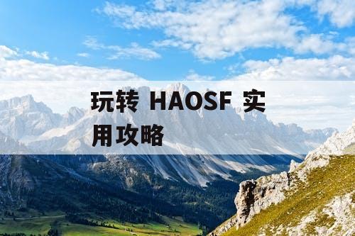 玩转 HAOSF 实用攻略