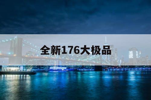 全新176大极品