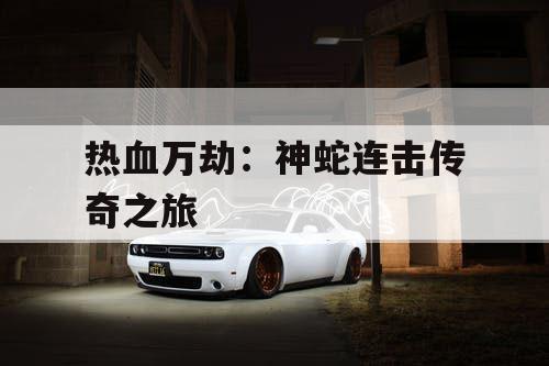 热血万劫：神蛇连击传奇之旅