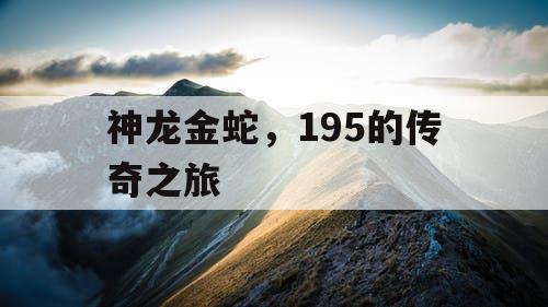神龙金蛇，195的传奇之旅