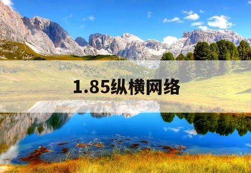 1.85纵横网络