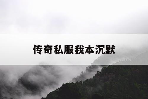 传奇私服我本沉默