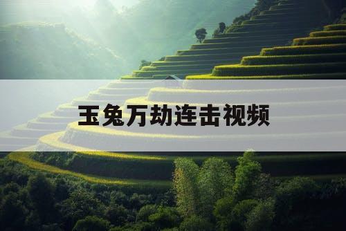 玉兔万劫连击视频