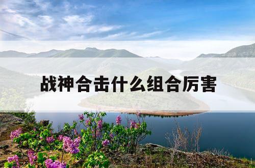 战神合击什么组合厉害