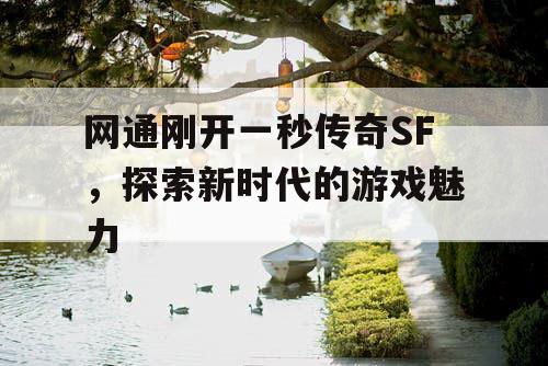 网通刚开一秒传奇SF，探索新时代的游戏魅力