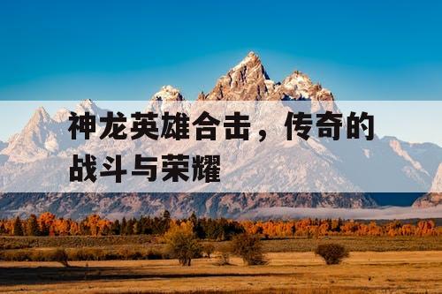 神龙英雄合击，传奇的战斗与荣耀